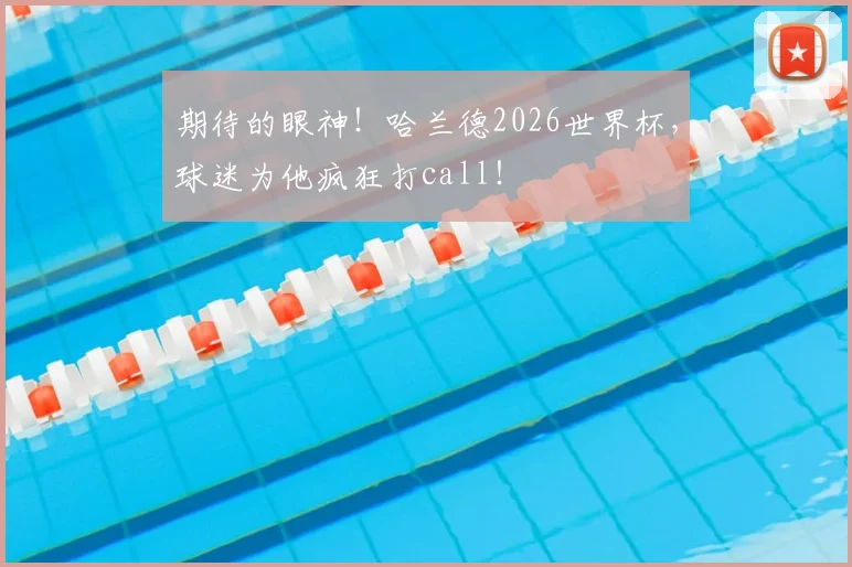 期待的眼神！哈兰德2026世界杯，球迷为他疯狂打call！