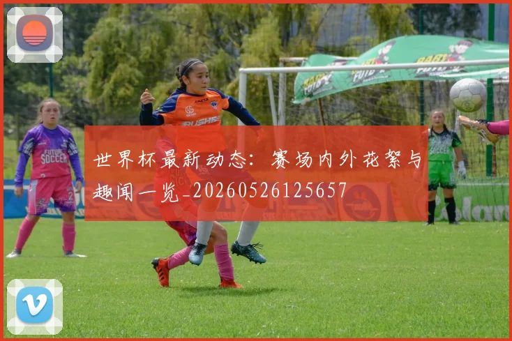 世界杯最新动态：赛场内外花絮与趣闻一览_20260526125657