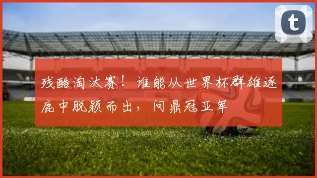 残酷淘汰赛!谁能从世界杯群雄逐鹿中脱颖而出,问鼎冠亚军