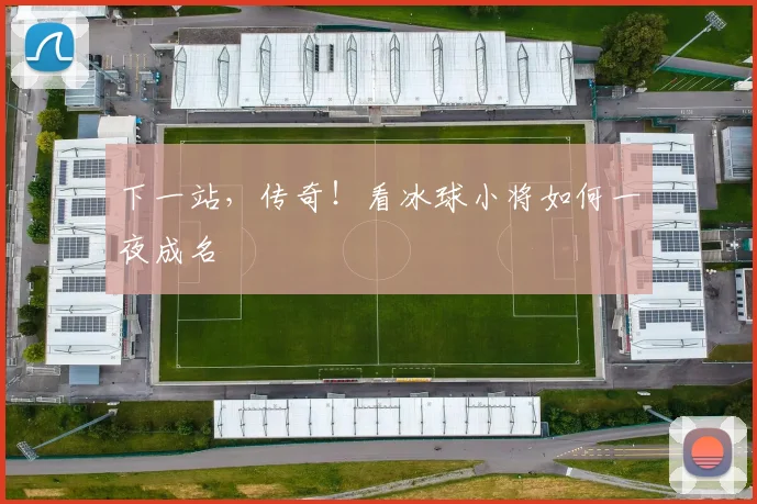 下一站，传奇！看冰球小将如何一夜成名