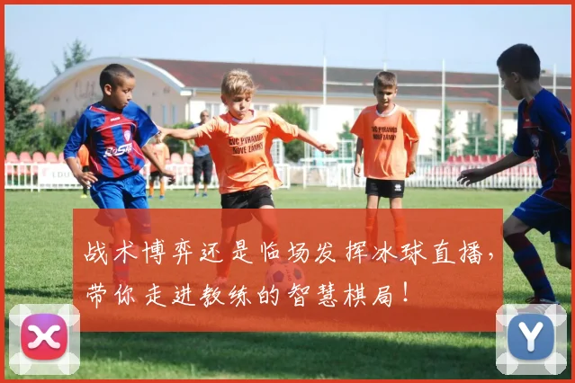 战术博弈还是临场发挥冰球直播，带你走进教练的智慧棋局！